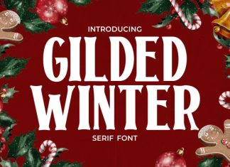 Gilded Winter Serif Display Font preview image 1