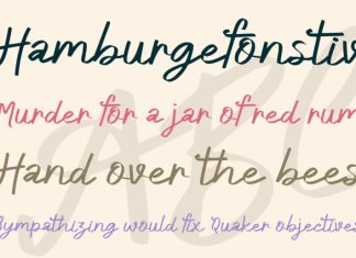 Glory Bird Font preview image 2