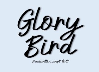 Glory Bird Font preview image 1