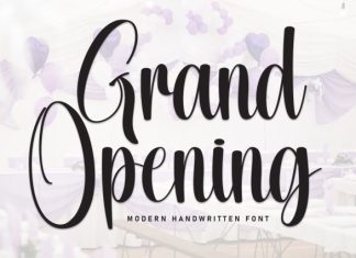 Grand Opening Font preview image 1