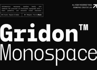 Gridon – Monospace Geometric Display Typeface Font preview image 1