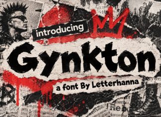Gynkton Font preview image 1