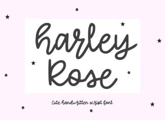 Harley Rose Font preview image 1