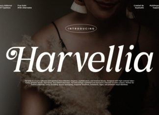 Harvellia – Elegant Magazine Serif Font preview image 1