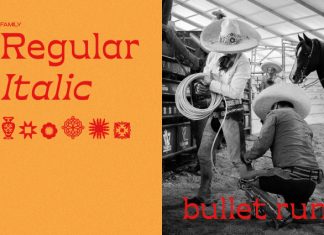 Hemas Serif Display Font preview image 2