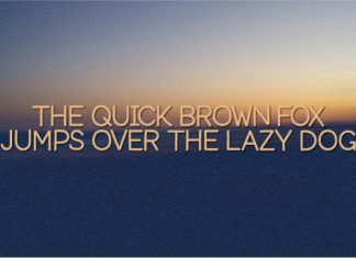 Hibiscus HS Font preview image 2