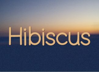 Hibiscus HS Font preview image 1