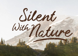 Hidden Stories Font preview image 2