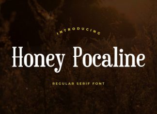 Honey Pocaline Serif Font preview image 1