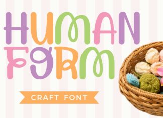 Human Form Craft Font preview image 1