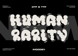 Human Rarity Font preview image 1