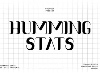 Humming Stats Font preview image 1
