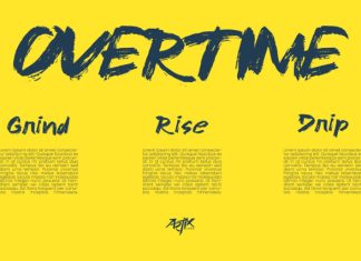 Ink Yugo – Brush Ink Raw Display Font preview image 2