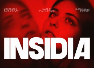 Insidia – Modern Condensed Font preview image 1