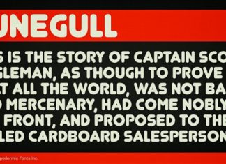 Junegull Font preview image 3