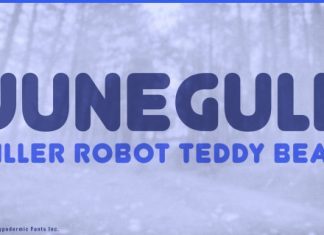 Junegull Font preview image 2