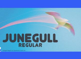 Junegull Font preview image 1