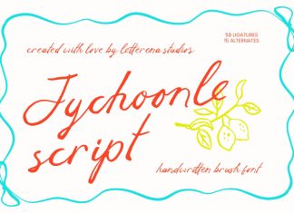 Jychoonle – Handwritten Brush Font preview image 1