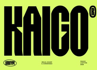Kaigo – Bold Condensed Font preview image 1