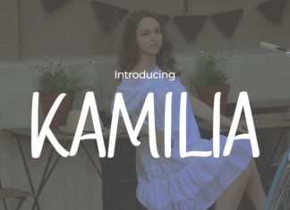 Kamilia – Modern Sans Serif Font preview image 1