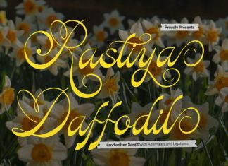 Kasfia Sirius Classic Script Font preview image 1