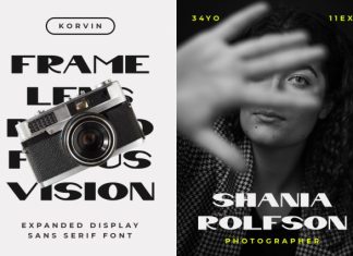 Korvin Display Sans Font preview image 3