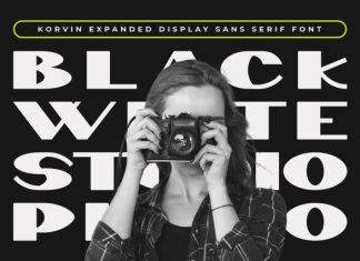 Korvin Display Sans Font preview image 2