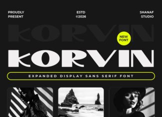Korvin Display Sans Font preview image 1