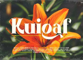 Kuigaf – Serif Display Font preview image 1