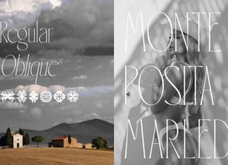 Lameur Thin Serif Display Font preview image 3