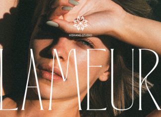 Lameur Thin Serif Display Font preview image 1