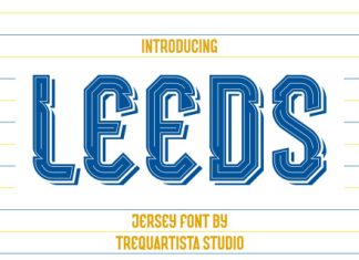 Leeds Font preview image 1