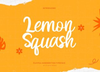 Lemon Squash Handwritten Font preview image 1