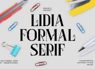 LiDia ForMal Serif Font preview image 1