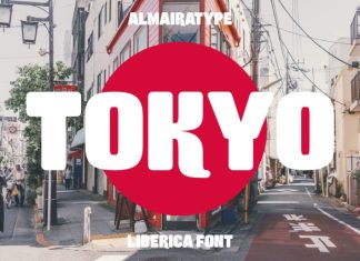 Liberica Font preview image 2