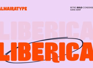 Liberica Font preview image 1