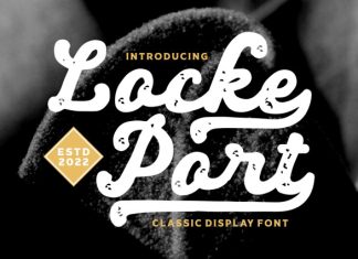 Locke Port – Modern Script Font preview image 1