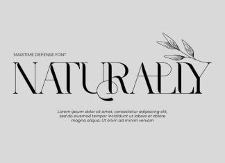MARITIME DEFENSE – MODERN SERIF FONT preview image 3