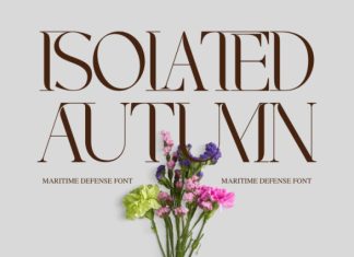 MARITIME DEFENSE – MODERN SERIF FONT preview image 2