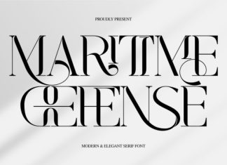 MARITIME DEFENSE – MODERN SERIF FONT preview image 1