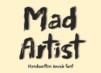 Mad Artist Font preview image 1