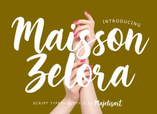 Maisson Zelora – Script Font preview image 1