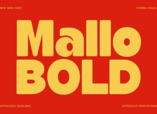 Mallo Bold Font preview image 1