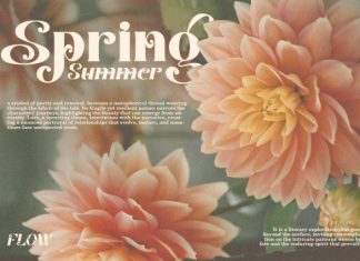 Mango Creamy – Serif Font preview image 3