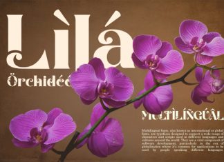 Mango Creamy – Serif Font preview image 2
