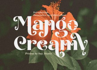 Mango Creamy – Serif Font preview image 1
