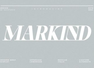 Markind – Modern Display Font preview image 1