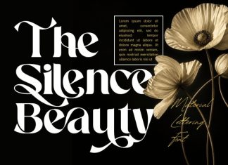 Material Lettering – Luxury Serif Font preview image 2