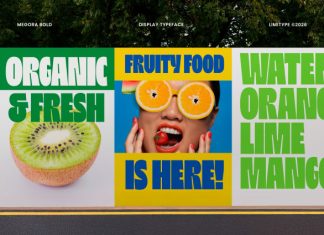 Megora – Bold Inktrap Font preview image 2