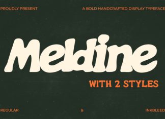 Meldine – Bold Display Font preview image 1